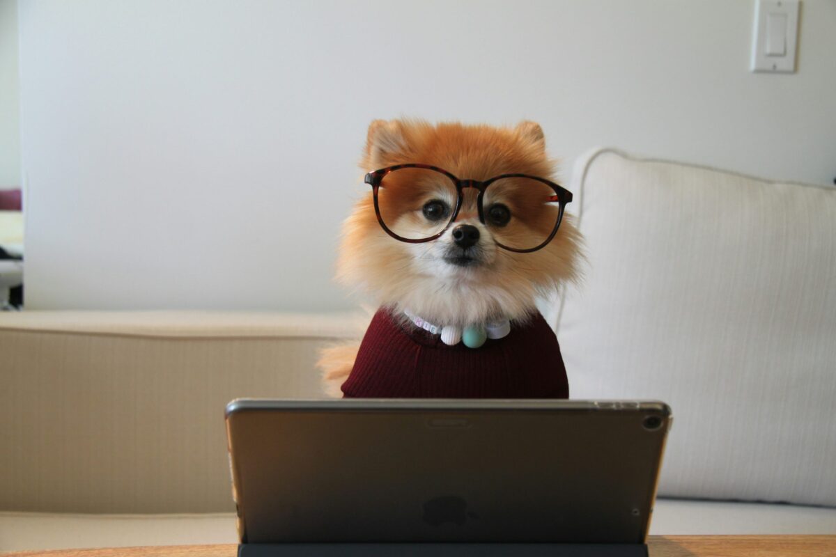 découvrez les compétences essentielles et les expertises indispensables pour exceller dans votre domaine avec notre formation en ligne sur les compétences.