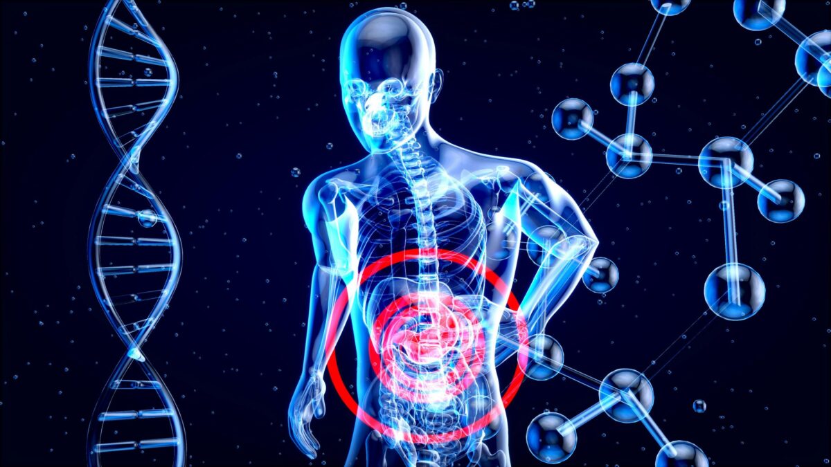 Vous voulez digérer plus vite ? Découvrez le médicament miracle !
