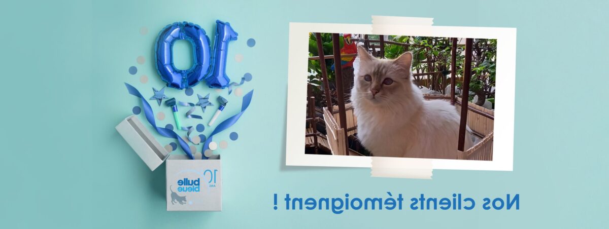 Mon témoignage sur la carence en fer : comment j&rsquo;ai surmonté ce défi de santé